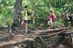 BIB: 
                            <button type="button" onclick="openModal(27556280)" class="btn btn-primary btn-sm float-right btn-popup" data-toggle="modal" data-target=".modal-high-quality">
                        <i class="fas fa-shopping-cart"></i> Add to Cart
                    </button>
                                            <button type="button" onclick="isThisMe(27556280, true)" class="btn btn-success btn-sm float-right btn-popup btn-isme hidden" data-toggle="tooltip" data-placement="bottom" title="นี่คือรูปของคุณใช่ไหม คลิกที่นี่เพื่อเอาเข้าอัลบั้ม">
                        <i class="fas fa-plus"></i> Add to album
                    </button>
                    <button type="button" onclick="isThisMe(27556280, false)" class="btn btn-warning btn-sm float-right btn-popup btn-isnotme hidden">
                        <i class="fas fa-ban"></i> Remove from album
                    </button>